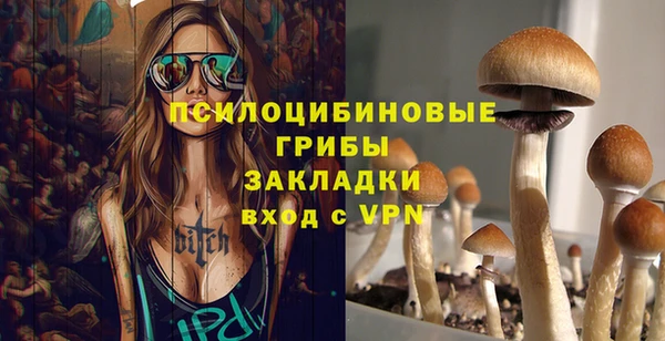 хмурый Армянск