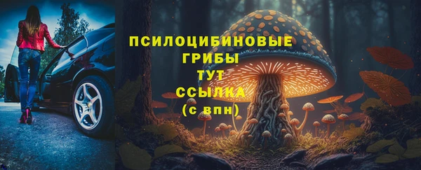 каннабис Аркадак